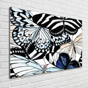 Foto obraz fotografie na skle Motýli a květiny osh-85755564