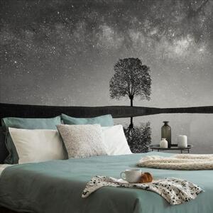 Samolepící fototapeta černobílá hvězdná obloha nad osamělým stromem - 225x150 cm