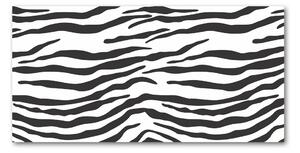 Fotoobraz na skle Zebra pozadí osh-87477290
