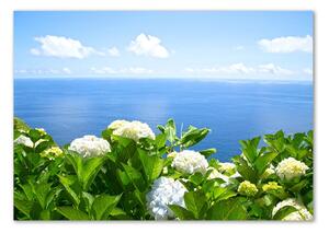 Foto obraz sklo tvrzené Květiny nad mořem osh-87726143