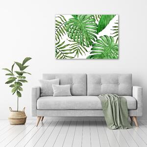 Moderní obraz canvas na rámu Tropické listí oc-88986198