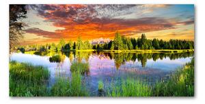 Moderní skleněný obraz z fotografie Řeka v lese osh-89317009