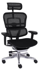 Kancelářská židle Ergohuman 2 Elite BT ST black