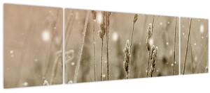 Obraz - Harmonická louka (170x50 cm)