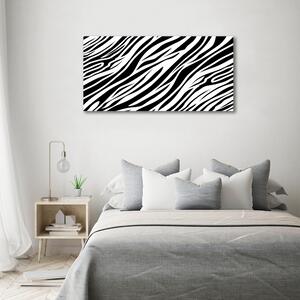 Foto obraz canvas Zebra pozadí oc-89914611