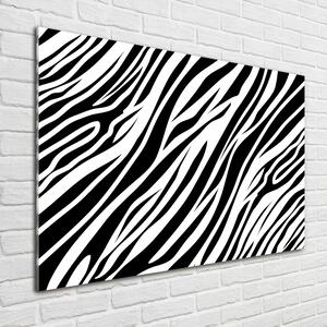 Foto obraz sklo tvrzené Zebra pozadí osh-89914611