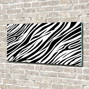 Foto obraz sklo tvrzené Zebra pozadí osh-89914611