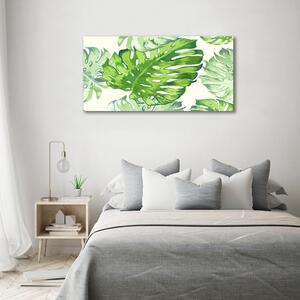 Fotoobraz skleněný na stěnu do obýváku Tropické listí osh-89951925
