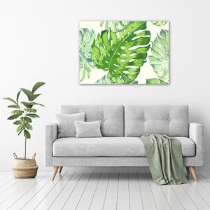 Fotoobraz skleněný na stěnu do obýváku Tropické listí osh-89951925