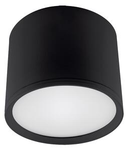 Stropní přisazené svítidlo Radam 10 W LED černé