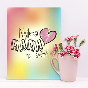 Sablio Dárková cedulka Nejlepší máma na světě: 30x40 cm