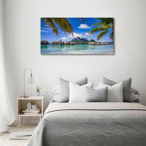 Foto obraz canvas Palmy na Bora Bora oc-90274909