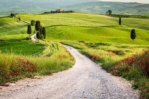 Fotografie Dirt road and green field in Tuscany, Shaiith
