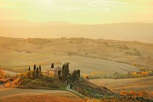 Fotografie Farm in Tuscany, mammuth