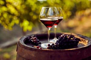 Fotografie Two glasses of red wine in the vineyard, Rostislav_Sedlacek