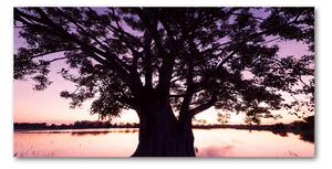Foto-obraz fotografie na skle Stromy a jezero osh-90878216