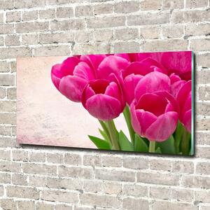 Foto-obraz fotografie na skle Růžové tulipány osh-90952565