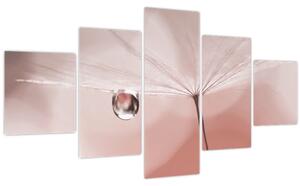 Obraz - Kapka rosy (125x70 cm)