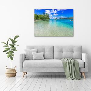 Foto obraz na plátně Pláž Seychely oc-93635847