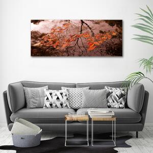 Moderní fotoobraz canvas na rámu Listí na vodě oc-94898362