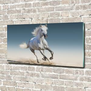 Foto-obraz na skle horizontální Bílý kůň ve cvalu osh-95257889