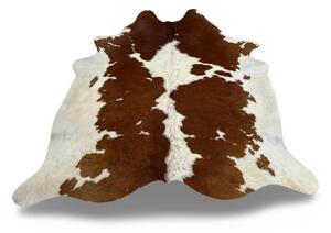 Koberec kusový hovězí kůže 3,5 m2, hnědobílá 31 Hnědobílé 3,0 - 3,9 m2