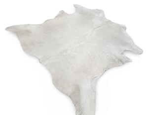 Koberec kusový hovězí kůže 4,2 m2 přírodní bílá 4,0 m2 a větší