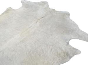 Koberec kusový hovězí kůže 4,2 m2 přírodní bílá 4,0 m2 a větší