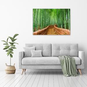 Moderní fotoobraz canvas na rámu Bambusový les oc-97156437