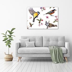 Fotoobraz na skle Ptáci květiny viště osh-98117635