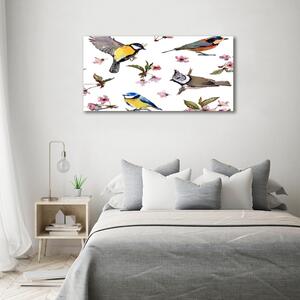 Foto obraz na plátně Ptáci květiny viště oc-98117635