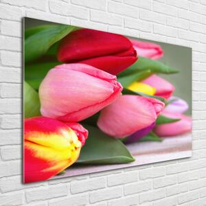 Foto obraz fotografie na skle Barevné tulipány osh-98761222