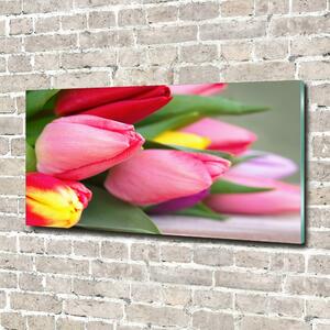 Foto obraz fotografie na skle Barevné tulipány osh-98761222