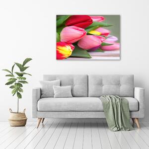 Foto obraz na plátně Barevné tulipány oc-98761222