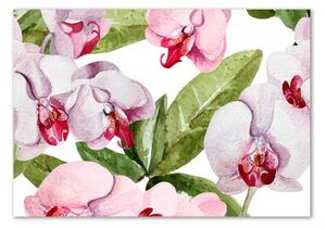 Fotoobraz na skle Růžové orchideje osh-98952398