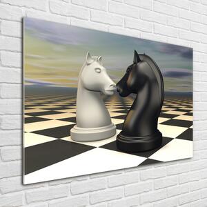 Fotoobraz na skle Šachy koně osh-99009038