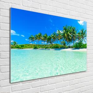 Foto obraz sklo tvrzené Tropická pláž osh-99365379