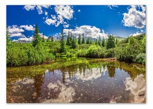 Foto obraz sklo tvrzené Jezerov lese osh-99700033