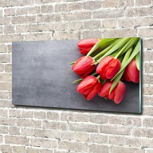 Foto obraz fotografie na skle Červené tulipány osh-99719823