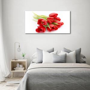 Foto obraz skleněný horizontální Červené tulipány osh-99817079