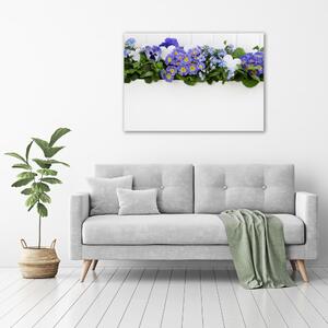 Foto-obrah sklo tvrzené Modré květiny osh-99973378