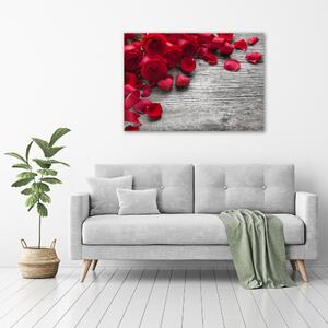 Moderní obraz canvas na rámu Červené růže oc-99989329
