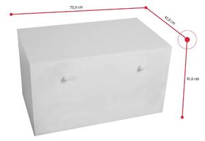 Úložný box TILMA, 70,6x41,6x41,6, bílá/kočka