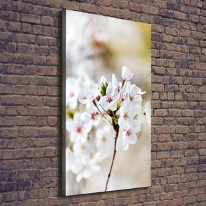 Vertikální Foto obraz canvas Květy višně ocv-100965392