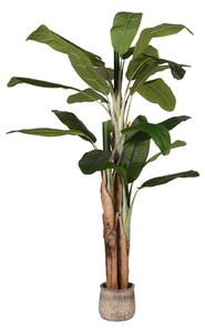 LABEL51 Umělá rostlina Home decoration Musa - Green - Plastic - 180