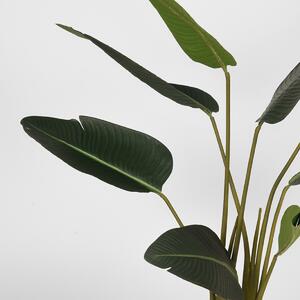Uměla rostlina Strelitzia - zelený plast