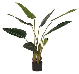 LABEL51 Uměla rostlina Strelitzia - zelený plast