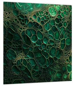 Obraz - Zelený mikroskopický snímek (30x30 cm)
