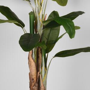 Umělá rostlina Musa - zelený plast