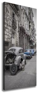 Vertikální Moderní fotoobraz canvas na rámu Havana ocv-101247780